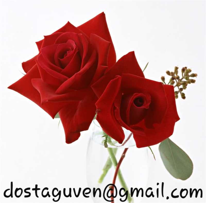 istanbulda öğrenci veya ev hanımı olan genç bayana düzenli maddi destek