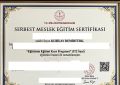 İstanbul Uzman Eğitmen Masaj Terapisti (Masör) Kubilay 7/24 Bay, Bayan Güvenilir Hizmet. 0538 061 4897 - 10