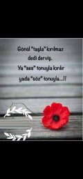 Koca  Yarr**raklı  Koray  0545 627 99 34 - 3