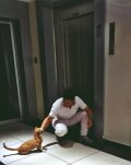 İSTANBUL (evli kadın çiftler veya bekar kadınlar) - 1