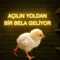 Esc olmayan düzenli görüşebileceğim üniversite öğrencisi öncelikli maddi destek bekleyen hanımefendiler 🍭 TG: b58k4 - 1